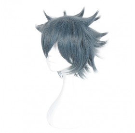 （Aotu World Ray） Anime Version Cosplay Wig - Light Slate Gray 14inch