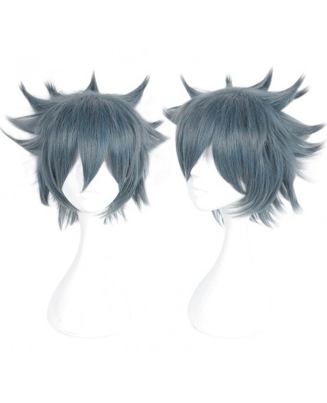 （Aotu World Ray） Anime Version Cosplay Wig - Light Slate Gray 14inch
